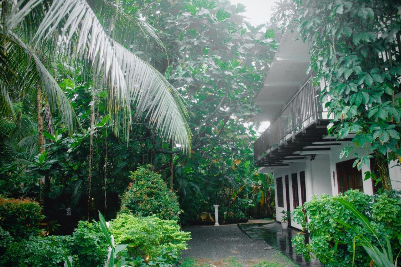 Hotel Bananas Mirissa Extérieur photo