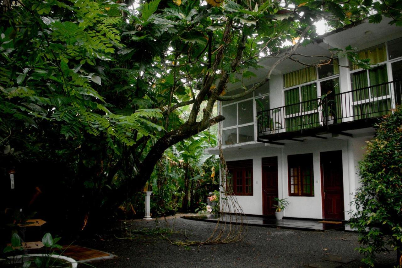 Hotel Bananas Mirissa Extérieur photo